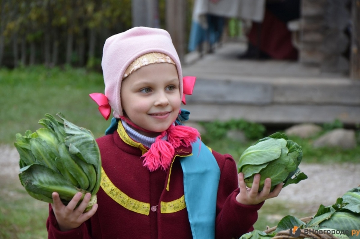 Нарубив 2 тыс кг капусты, новогородцы отгуляли "капустки" в Витославицах